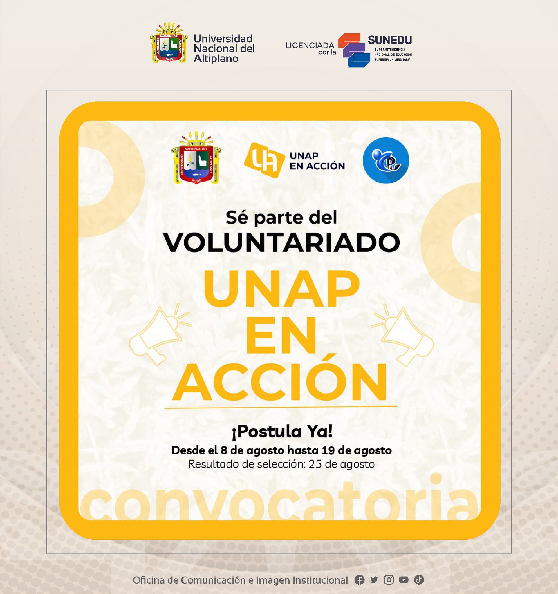 Voluntariado "UNAP en Acción" ✊💛